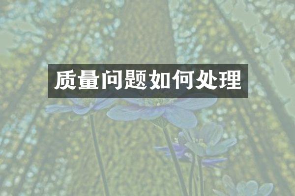 质量问题如何处理