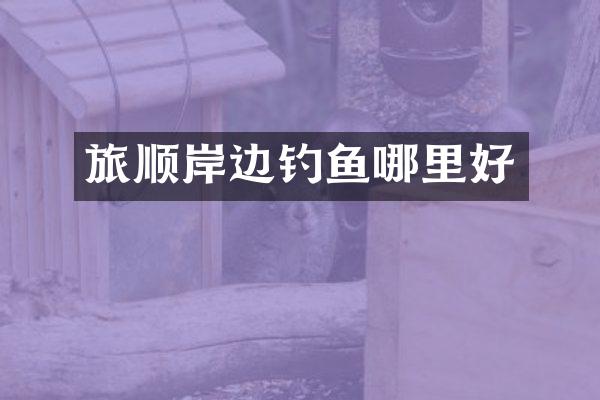 旅顺岸边钓鱼哪里好