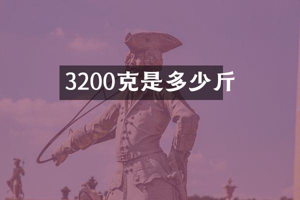 3200克是多少斤