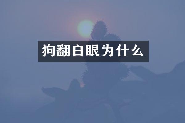 狗翻白眼为什么