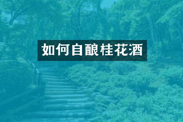 如何自酿桂花酒