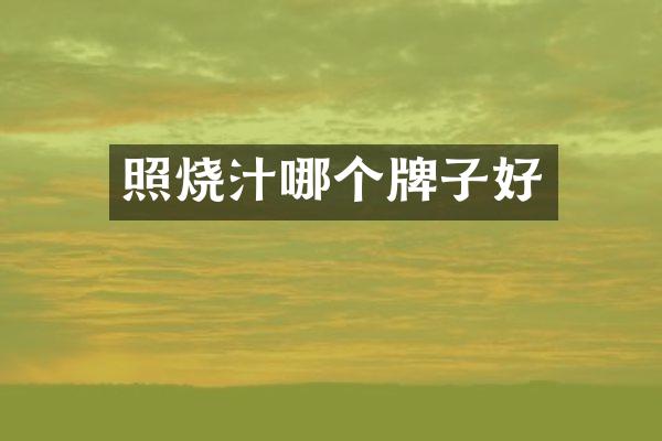 照烧汁哪个牌子好