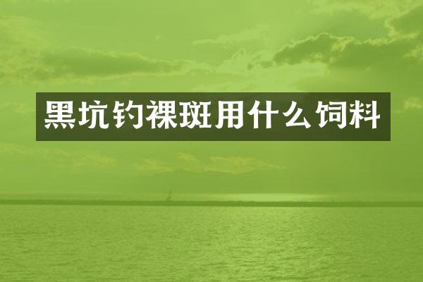 黑坑钓裸斑用什么饲料