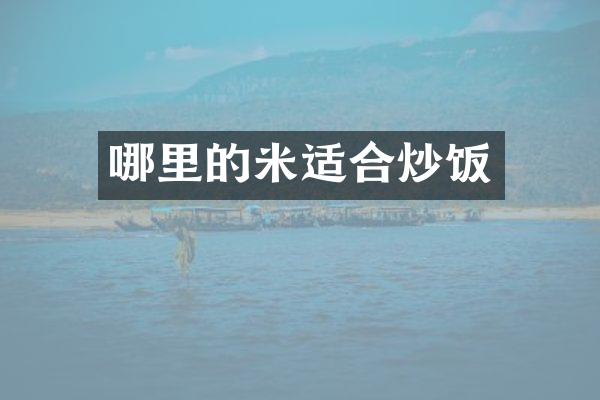 哪里的米适合炒饭