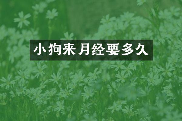 小狗来月经要多久