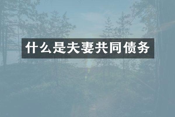 什么是夫妻共同债务