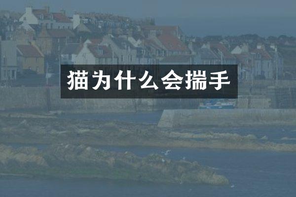 猫为什么会揣手
