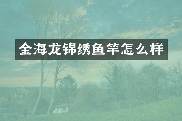 金海龙锦绣鱼竿怎么样