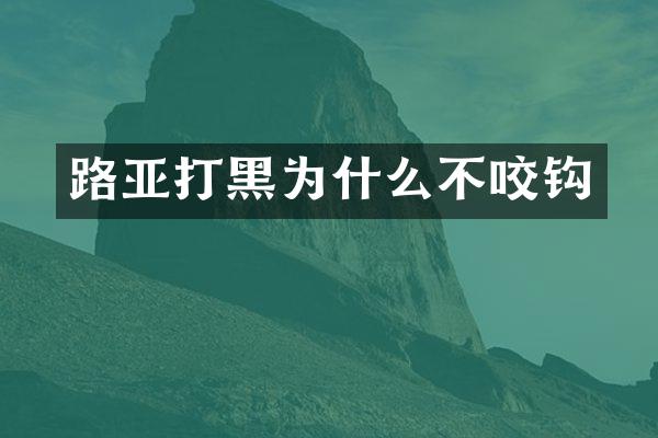 路亚打黑为什么不咬钩