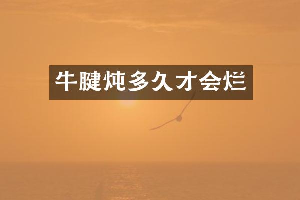 牛腱炖多久才会烂