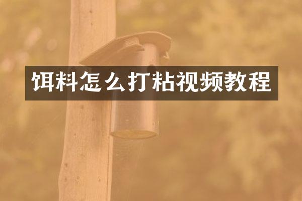 饵料怎么打粘视频教程