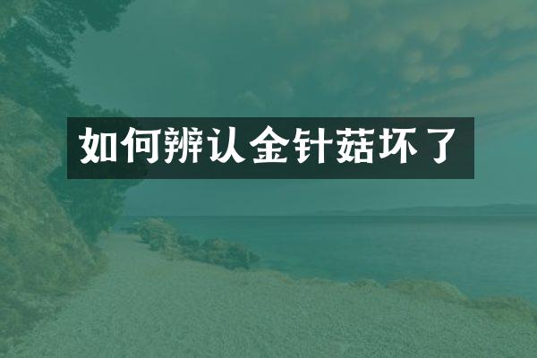 如何辨认金针菇坏了