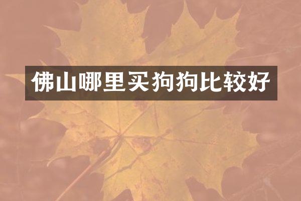 佛山哪里买狗狗比较好