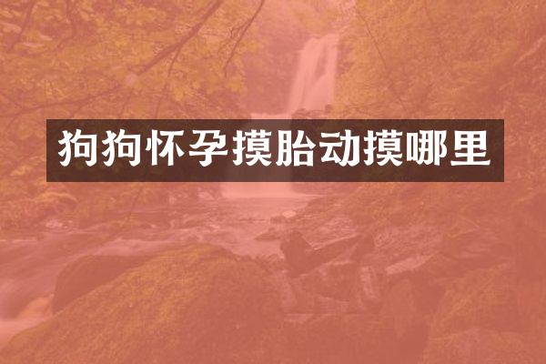 狗狗怀孕摸胎动摸哪里