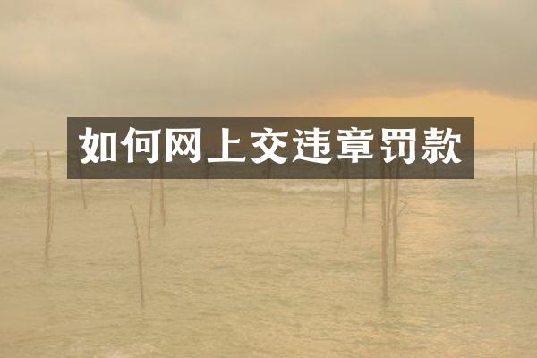 如何网上交违章罚款