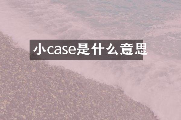 小case是什么意思