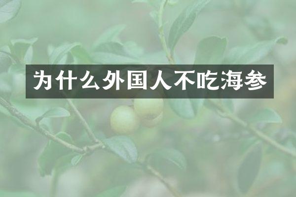 为什么外国人不吃海参