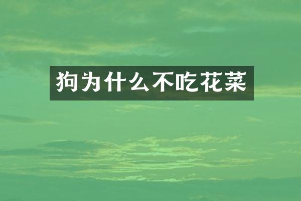 狗为什么不吃花菜
