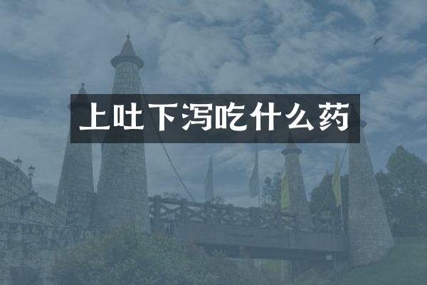 上吐下泻吃什么药