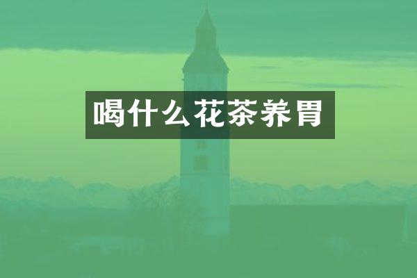 喝什么花茶养胃