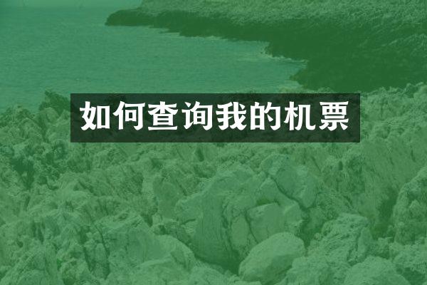 如何查询我的机票