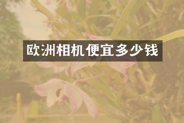 欧洲相机便宜多少钱