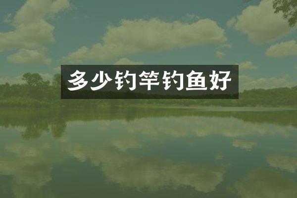 多少钓竿钓鱼好