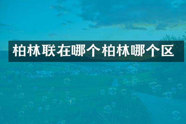 柏林联在哪个柏林哪个区