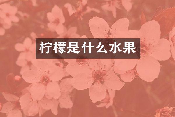 柠檬是什么水果