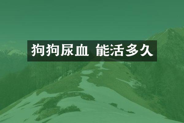 狗狗尿血 能活多久