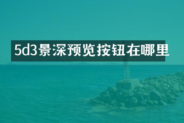 5d3景深预览按钮在哪里