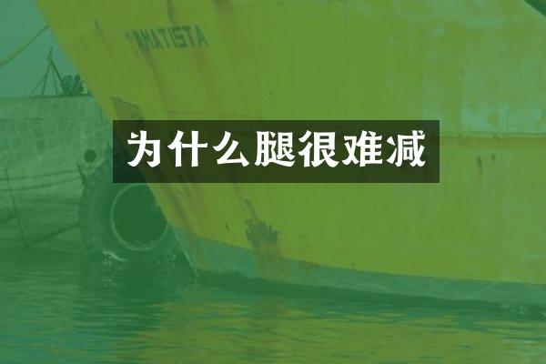 为什么腿很难减