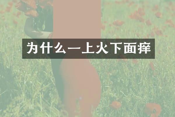 为什么一上火下面痒