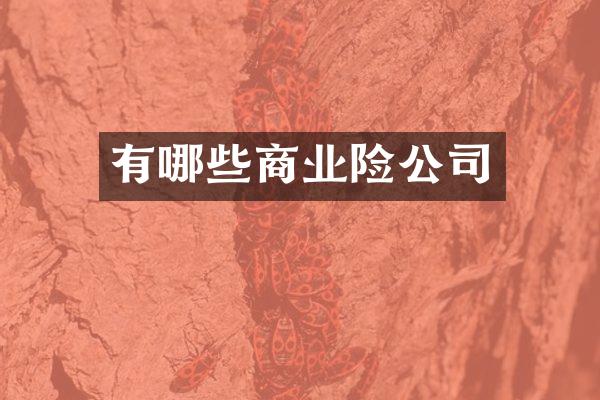 有哪些商业险公司