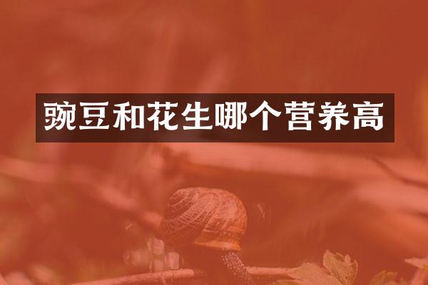 豌豆和花生哪个营养高