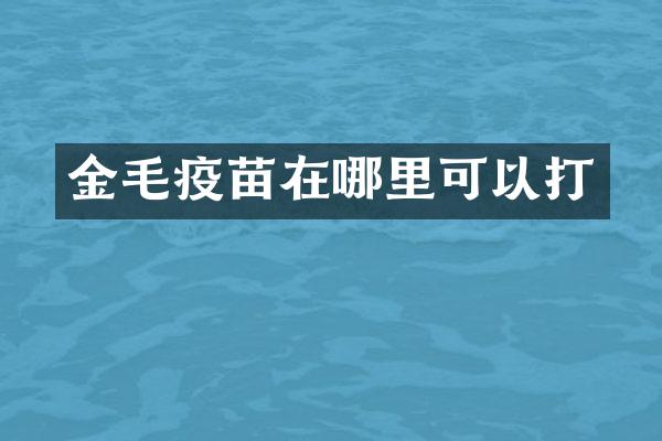 金毛疫苗在哪里可以打