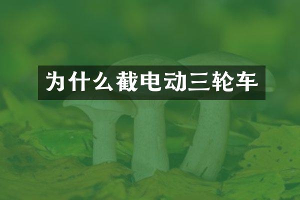 为什么截电动三轮车