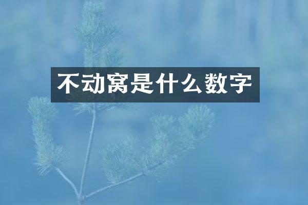 不动窝是什么数字