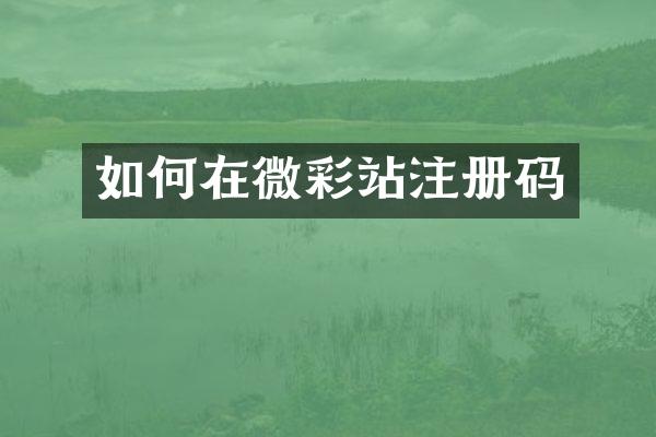 如何在微彩站注册码