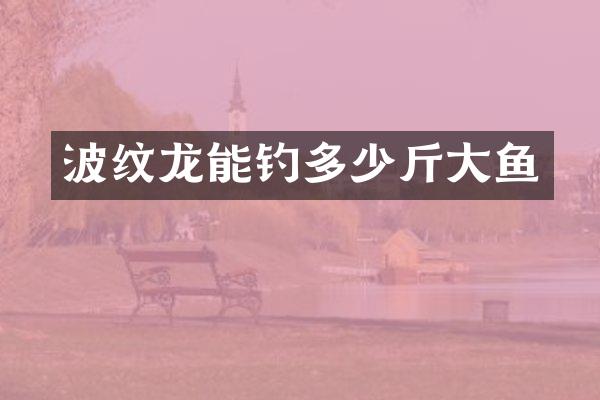 波纹龙能钓多少斤大鱼