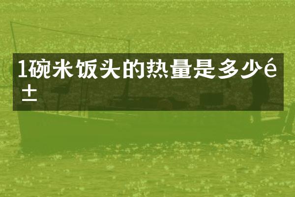 1碗米饭头的热量是多少钱