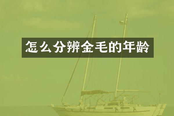 怎么分辨金毛的年龄