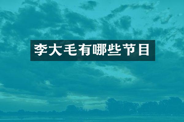 李大毛有哪些节目