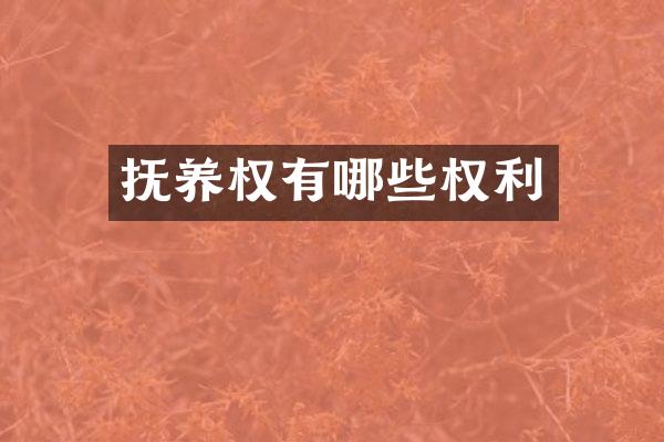 抚养权有哪些权利