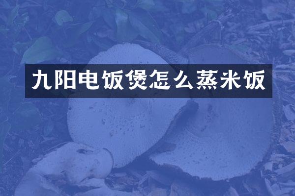 九阳电饭煲怎么蒸米饭