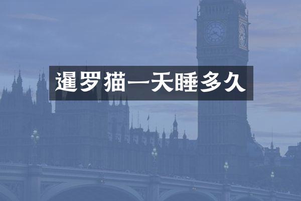 暹罗猫一天睡多久