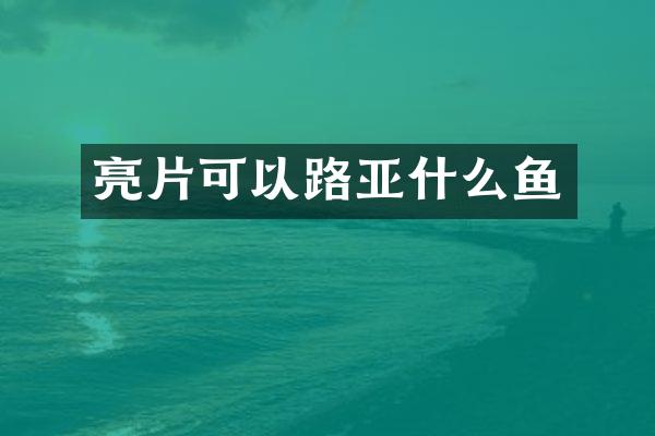 亮片可以路亚什么鱼