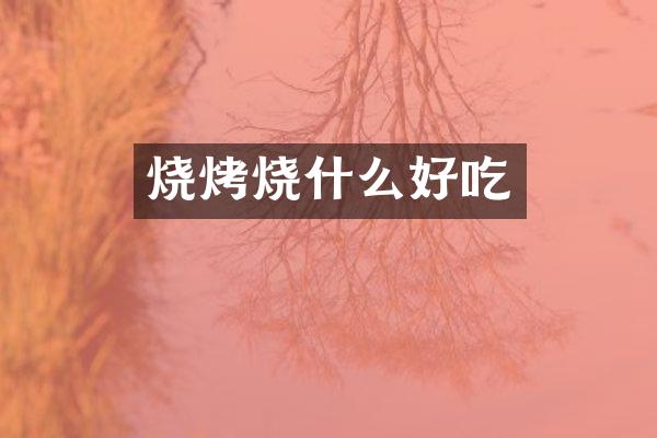 烧烤烧什么好吃