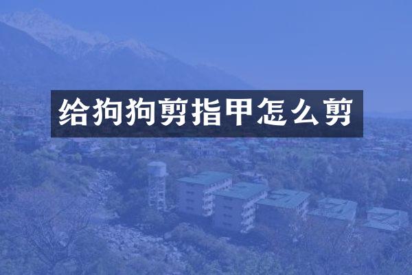 给狗狗剪指甲怎么剪