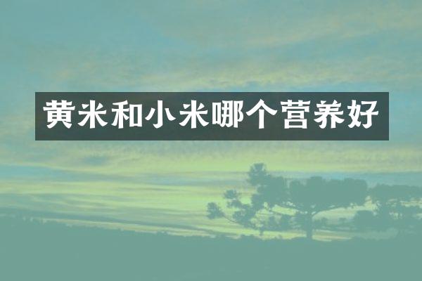 黄米和小米哪个营养好